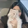 sd__2__2