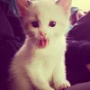 viksterr_69