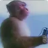 wilikin2025