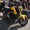 moegreen222