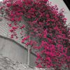 abdallah.l1
