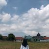 .aulll