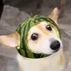 userg5yv7rbbky