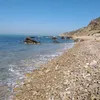 alyoum87
