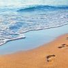 barefoot_dreamer_