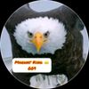 user72121681412212