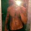 fernandacosta6265