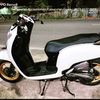 daeng5174