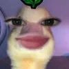 quanghung1m7