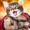 meownidas1243