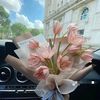 almjd_3