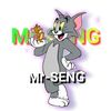 Mr-SENG ❣️