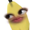 .lenaerey