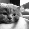 _cutehotmeee