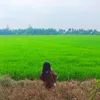 dogiauyen