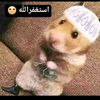 yaash2234