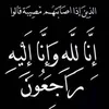 fat729ilyas