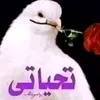 z_do6