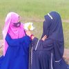 userjspc8
