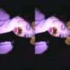 .radreamerriey