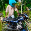 blue_berry_1431