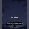 dandisameer7