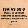 ovelinha003