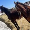 danik30081983