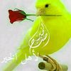 user3099229774105