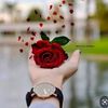 marhhoms330