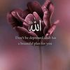 noorzara7899