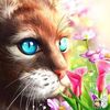 diane.king6