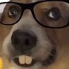 hi23429