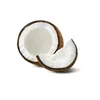 coconutisbest0