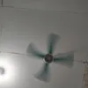 harianda4