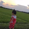 hoahong66nn