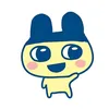 jokjgpjm