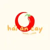 Hải Ăn Cay