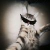 raaaaa_0719