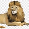 ANIMALS_TOP_MOMENTS