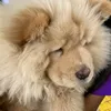 kienxxo