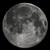 moonglitter99