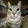 zaibuzaichenyao67
