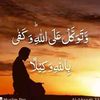 user3084530281732