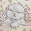 kinouchan