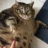 zoraaacuy