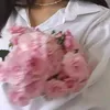 di11ana_00
