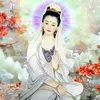 An Nhiên