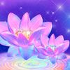 user3126iysdq3