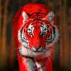 user2601976341329
